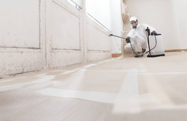 24/7 Emergency Crawl Space Mold Removal experts in Jacksonville, TX