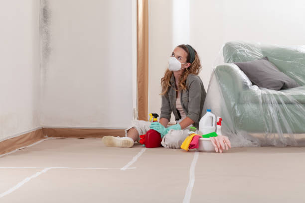 Reliable Crawl Space Mold Removal contractor in Jacksonville, TX by WQB Mold Removal