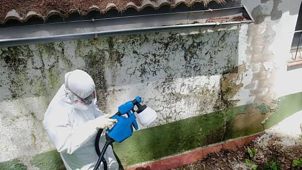 Top rated local Crawl Space Mold Removal specialists in Jacksonville, TX